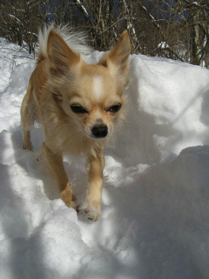 080214_ura4.jpg