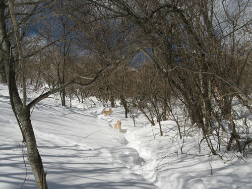 080216_ura1.jpg