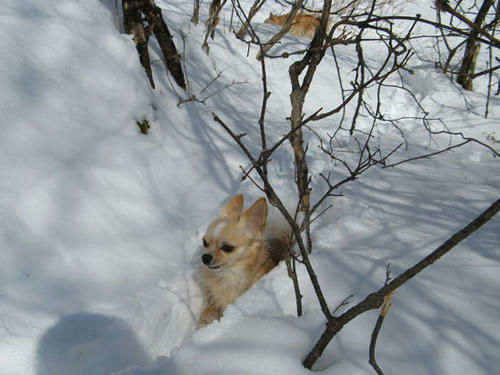 080216_ura2.jpg