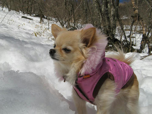 080315_ura1.jpg