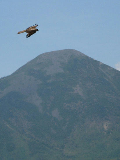 080610_kuru2.jpg