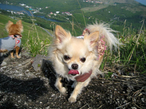 080610_kuru3.jpg