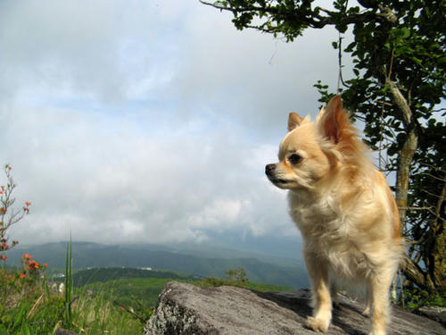 080612_miha5.jpg