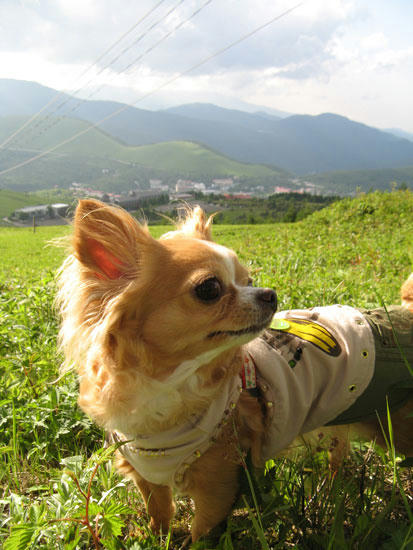080624_royh3.jpg