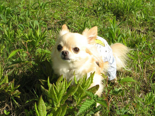080624_royh6.jpg
