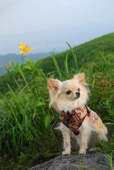 080711_kuru5.jpg