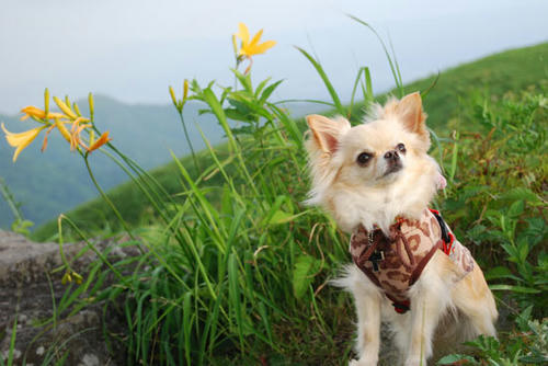 080711_kuru7.jpg