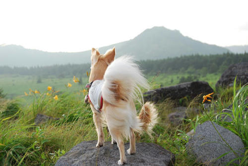 080711_kuru8.jpg