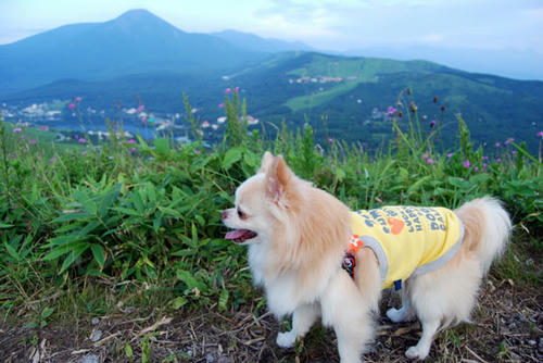 080808_karu1.jpg