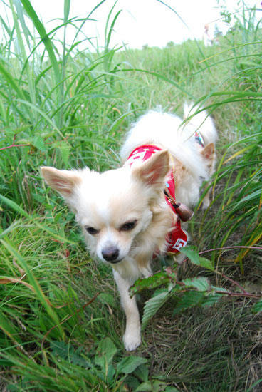 080808_karu5.jpg