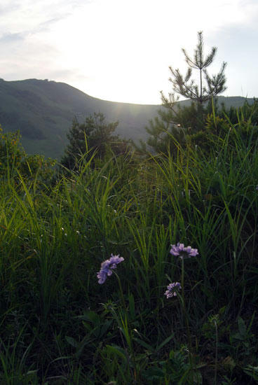 080808_karuv2.jpg