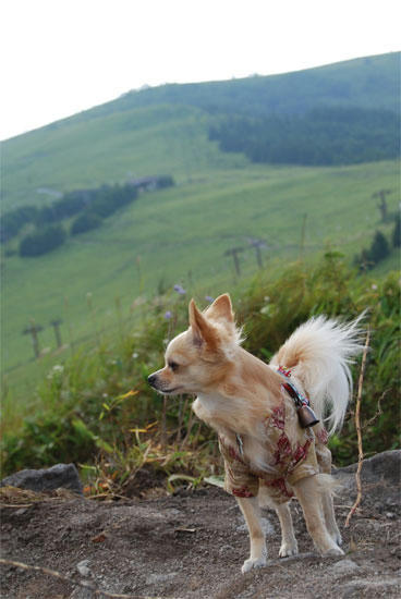 080820_kuru6.jpg