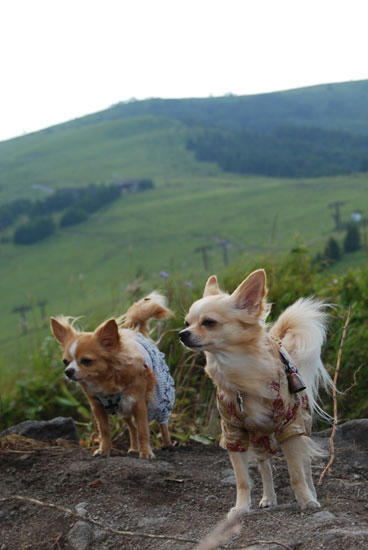 080820_kuru7.jpg