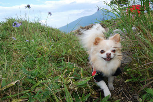 080820_kuru8.jpg
