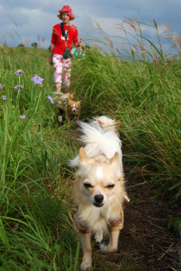 080820_kuru9.jpg