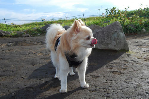 080903_kurk1.jpg