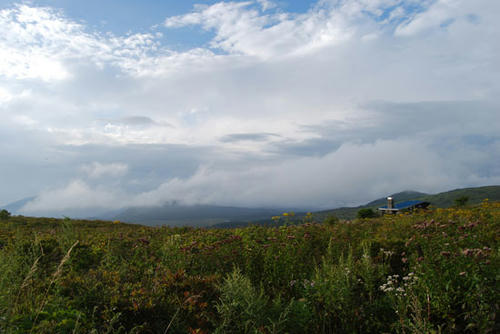 080903_kurkv7.jpg