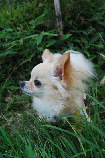 080905_miha16.jpg