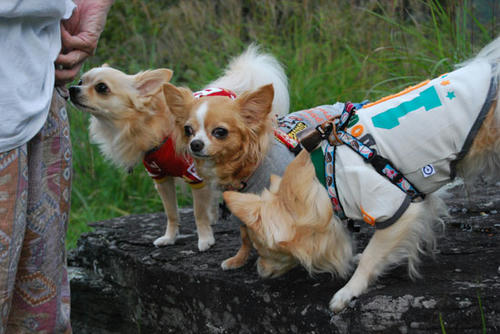 080905_miha17.jpg