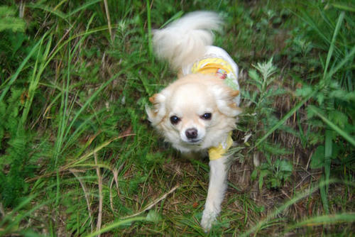 080905_miha3.jpg
