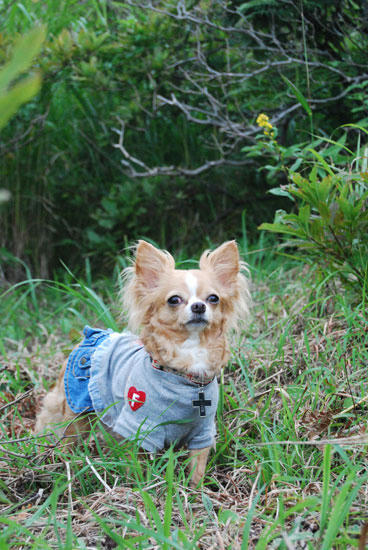 080905_miha31.jpg