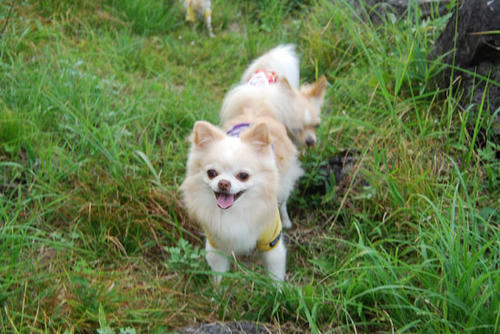 080905_miha5.jpg