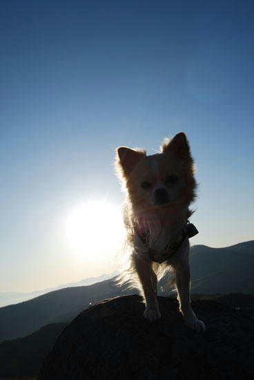 080909_royh12.jpg