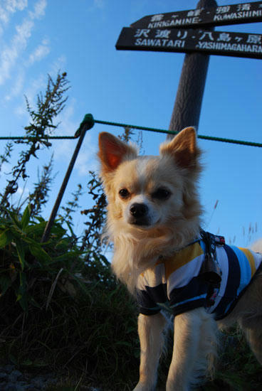 080912_kurk8.jpg