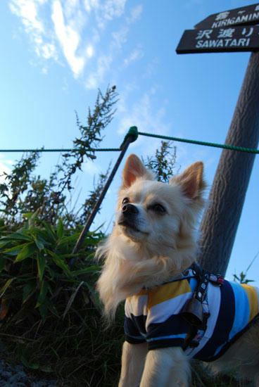 080912_kurk11.jpg