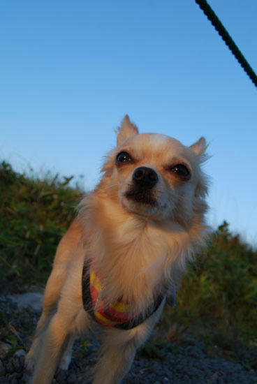 080912_kurk12.jpg