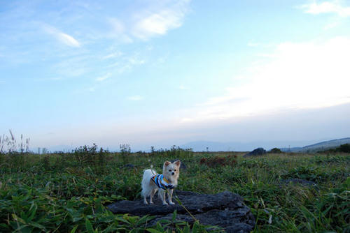 080912_kurk15.jpg