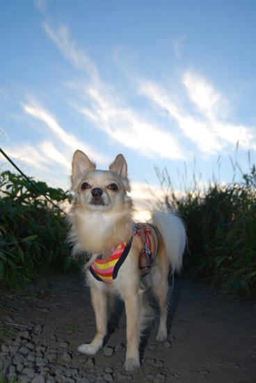 080912_kurk21.jpg