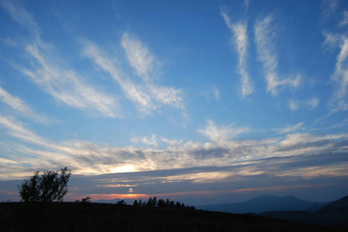 080912_kurkv7.jpg