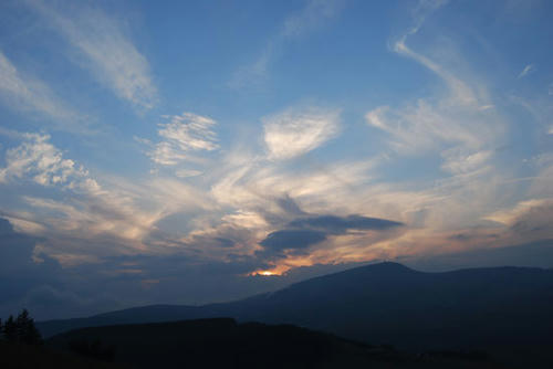080916_royh36.jpg