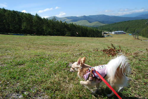 080924_g2in2.jpg