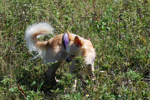 080924_g2in6.jpg