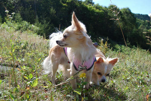 080924_g2in10.jpg