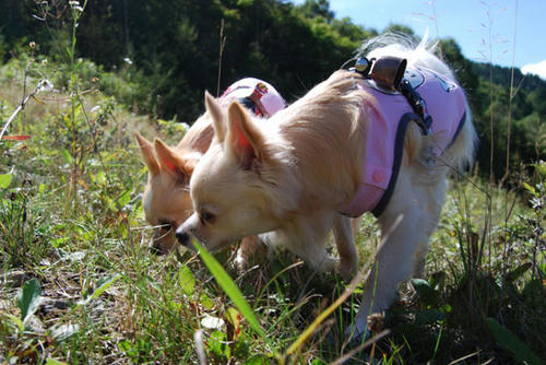 080924_g2in12.jpg