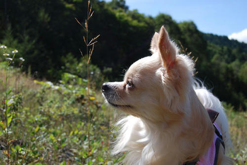 080924_g2in17.jpg