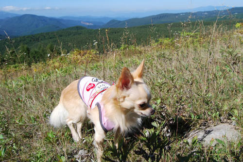 080924_g2in19.jpg