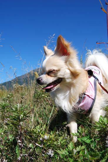 080924_g2in20.jpg