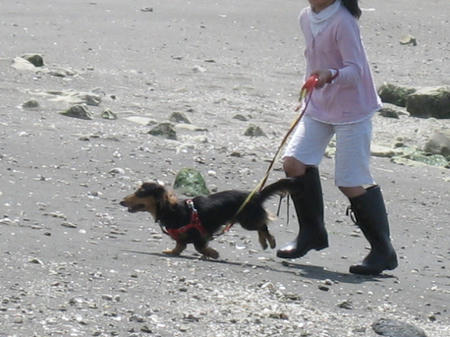 IMG_2206.JPG
