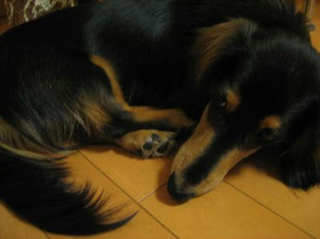 080424-5.jpg