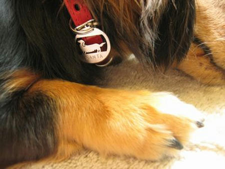 080427-2jpg.jpg