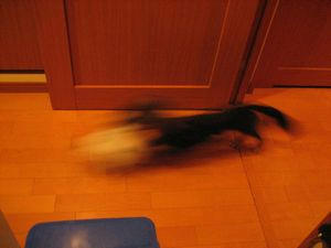 080501-1.jpg