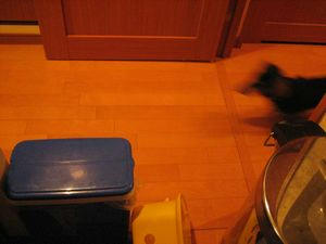 080501-4.jpg