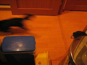 080501-5.jpg