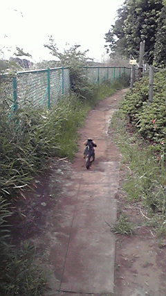 P1010007.JPG