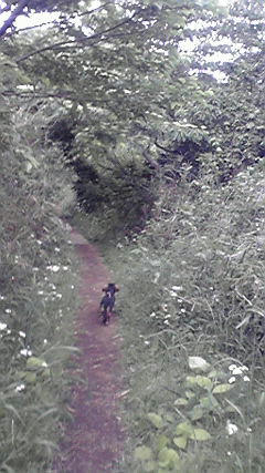 P1010006.JPG