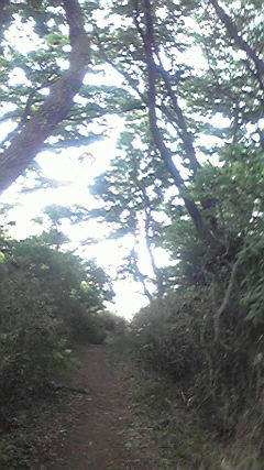 P1010005.JPG